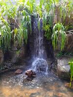 Serene Waterfall Oasis Lush Greenery Cascading Over Rocky Terrain. photo