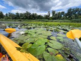 Kayaking in danube delta on a cloudy day surrounded by water lilies and reeds photo