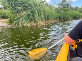 Kayaker paddling in river next to green reeds on sunny day photo