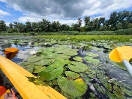Kayaking in river among water lilies on cloudy day photo