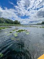 Kayaking on the lake with water lilies and lush green vegetation on the shore photo