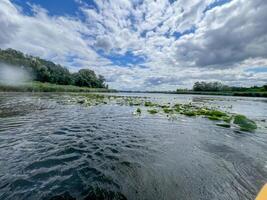 Water lilies floating on river under cloudy sky photo