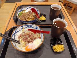 Two Bowls of Japanese Udon Noodles with Beef, Egg, and Tea on Trays photo