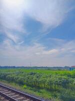 Tranquil Countryside View from a Train, Lush Green Fields and a Clear Sky photo