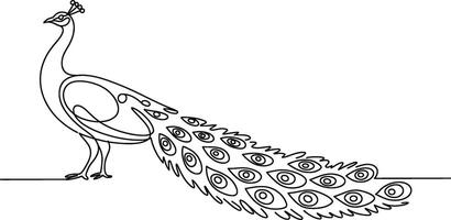 Black Line Art Peacock with Tail Feathers and Eye Pattern vector