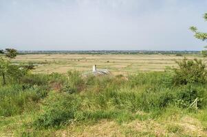 Idyllic view of a beautiful and peaceful farmhouse in the rural flatlands of Europe. A lonely hut in the middle of green fields. A city is visible on the distant horizon. photo