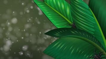 Spiders crawling on green leaves with sparkling background video