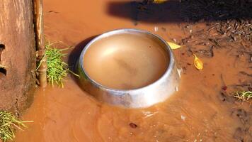 Water drips into a metal bowl on muddy ground, creating ripples under bright sunlight, surrounded by grass and soil video