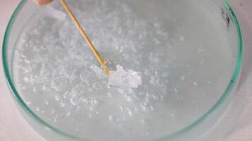 Crystals forming in a science experiment video