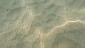 Underwater view of sunlight creating dynamic patterns on a sandy ocean floor in Phuket, Thailand. Gentle water movement enhances the serene atmosphere video