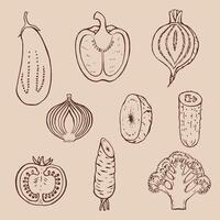 Set of vegetables Hand drawn illustration in outline style. vector