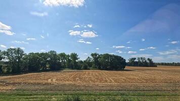 Expansive fields under a clear blue sky video