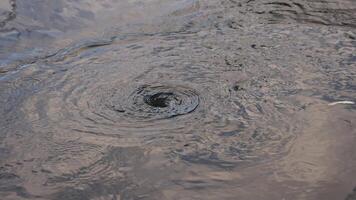 A swirling vortex forming in water video