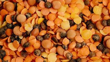 Rotating view of colorful lentils and chickpeas under bright lighting, showcasing texture and variety in a seamless loop video
