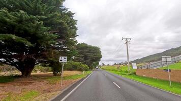 A serene drive through lush landscapes and towering trees on Great Ocean Road, captured in natural daylight video