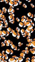 Sushi pieces cascade against a black background, creating a mesmerizing, rhythmic motion with vibrant colors and seamless transitions video