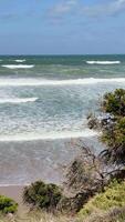 Dynamic ocean waves crash against the shore under a bright blue sky, framed by coastal vegetation video