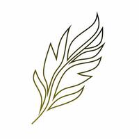 Minimalist Abstract Leaf Line Art Illustration vector