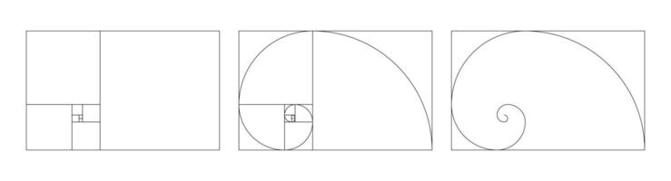 Template of golden ratio harmony proportions. Fibonacci numbers array set. vector