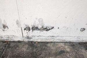 Informative guide to preventing mold damage in urban residential buildings maintenance tips photo