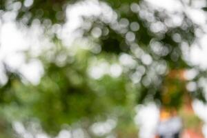 Nature captivating greenery in urban park close-up soft focus bokeh background photo