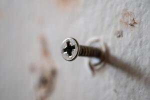 Close-up of screw installation process interior wall home environment macro view diy concept photo
