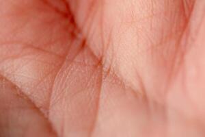 Close-up view of human palm texture indoor setting macro natural elements detailed perspective photo