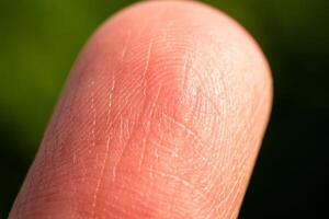 Close-up finger texture nature setting macro detailed view skin patterns photo
