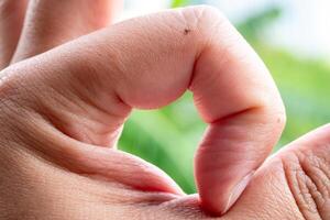 Hand gesture creating heart shape nature background close-up peaceful environment emotional connection photo