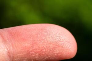 Close-up of fingerprint texture nature background macro green environment detail view skin concept photo