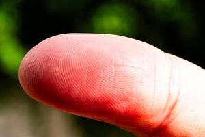 Close-up fingerprint analysis outdoors macro nature setting detailed view forensics concept photo