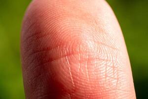 Close-up image of fingerprint in nature detailed macro vibrant green background photo