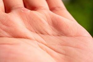 Capturing the subtle lines of a hand nature's canvas close-up serene environment intimate viewpoint photo
