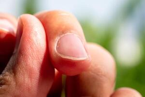 Close-up action of hand touching nature outdoor garden macro greenery natural environment photo