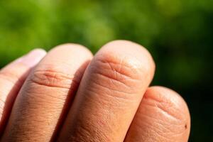 Close-up action of human hand outdoor greenery nature natural light macro view texture focus photo