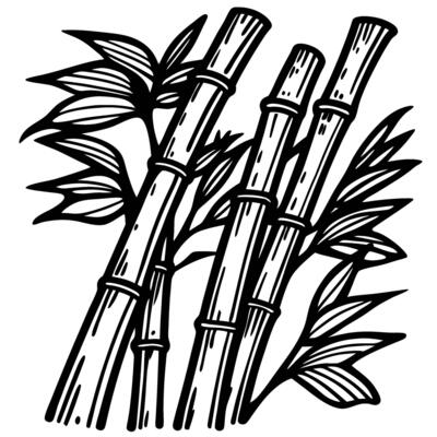 Hand drawn sugarcane stalks with leaves isolated on white background vintage botanical black and white engraving