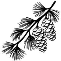 Monochrome illustration of pine branch with detailed pine cones and needles on white background vector