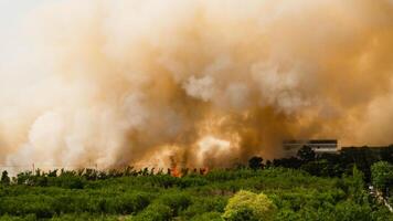 Wildfire causes devastation during summer in forested area dramatic smoke plume and fire threatening wildlife photo