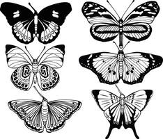 High quality hand drawn butterfly illustration set vector