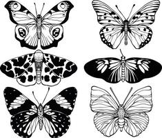hand drawn butterfly vector