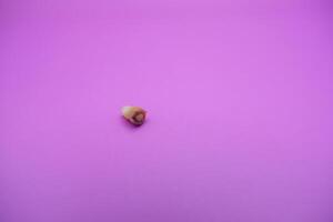 Isolated Damaged Baby Tooth on Pink Surface photo