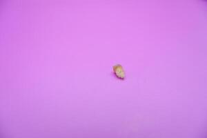 Removed Child Tooth with Severe Decay photo