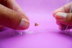 Extracted Childs Tooth Stored in Plastic Bag photo