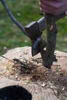 Cutting branches. Cutting a thin branch with an axe photo