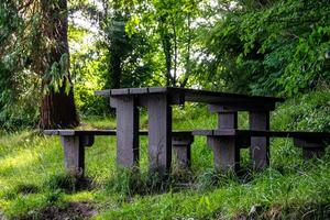 In the heart of a lush forest, there is a picnic table and benches photo