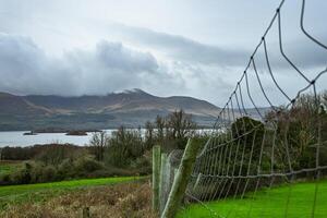 A fence encloses a grassy field with mountains behind it photo