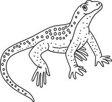 Mojave Fringe-Toed Lizard Isolated Coloring Page vector
