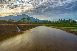 A small waterway in a rice field with a mountain in the background photo