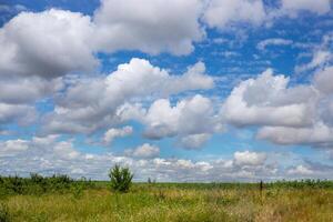 Serene rural landscape with meadow of wild flowers and grasses under sky with fluffy white clouds photo
