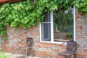 Charming house with brick wall decorated with lush foliage of grape vines creating a picturesque scene photo